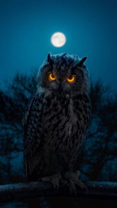 MobCup-angry-owl-moon